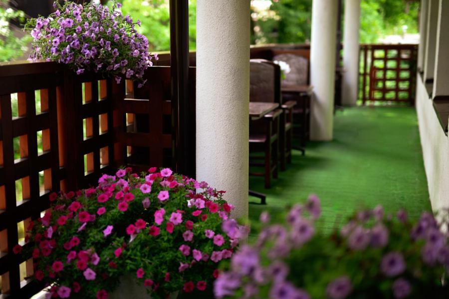 Hotel Promyk Wellness & Spa Karpacz Εξωτερικό φωτογραφία